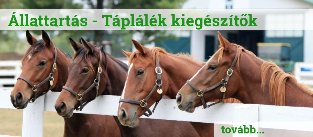 biozon.hu | kártevőirtás szakáruháza