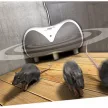 Swissinno Ultrahangos rágcsálóriasztó 3W beltéri 30m2