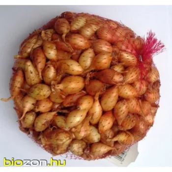 Makói dughagyma 350 g