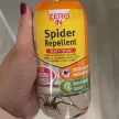 Zero in - Pók riasztó permet 500ml