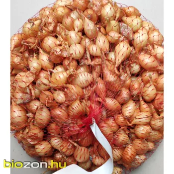 Stuttgarter dughagyma 500g